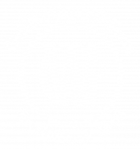 Celebrating 60 Years Logo